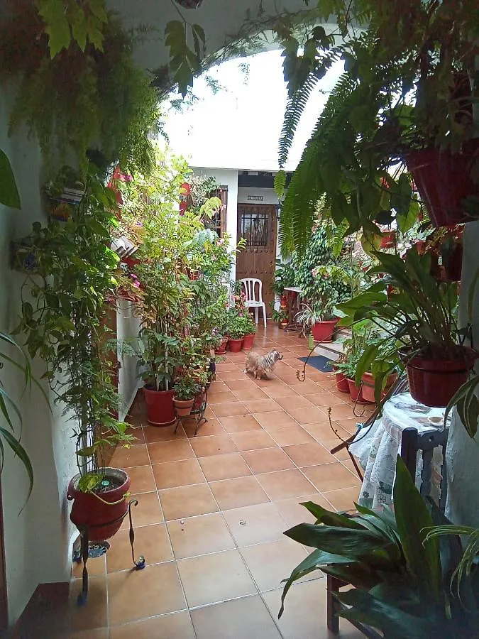 Arco De La Cobijada Apartment Vejer de la Frontera Spain